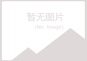 平鲁区从灵化学有限公司